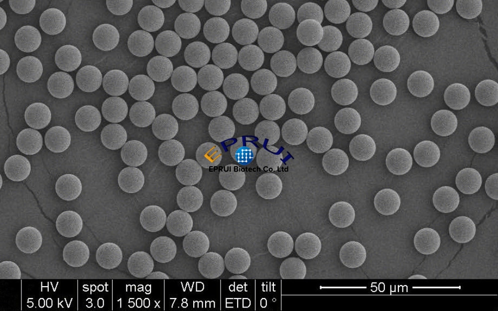 10um 交联PS-DVB微球