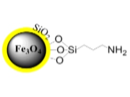 二氧化硅氨基磁珠